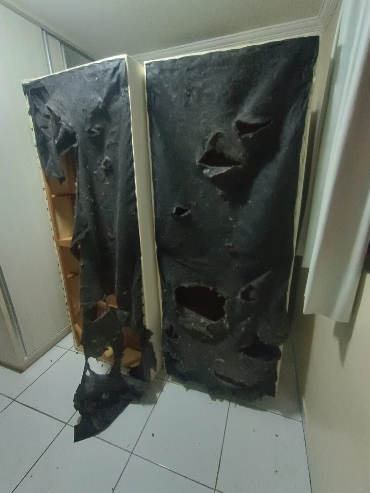 WhatsApp Image 2025-12-02 at 11.24.31 (1) WhatsApp Image 2025-12-02 at 11.24.31 (1)